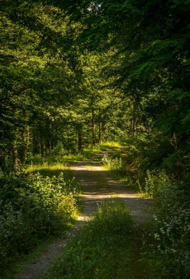 Appartamento Kuca Za Odmor Poppke Fericanci Esterno foto